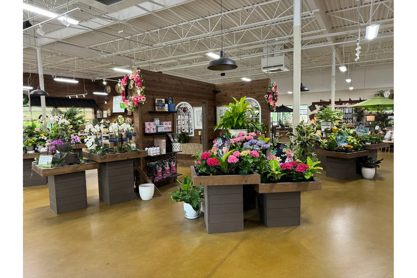 Bright indoor garden center with tables displaying colorful flowers, plants, and garden supplies in a spacious room.