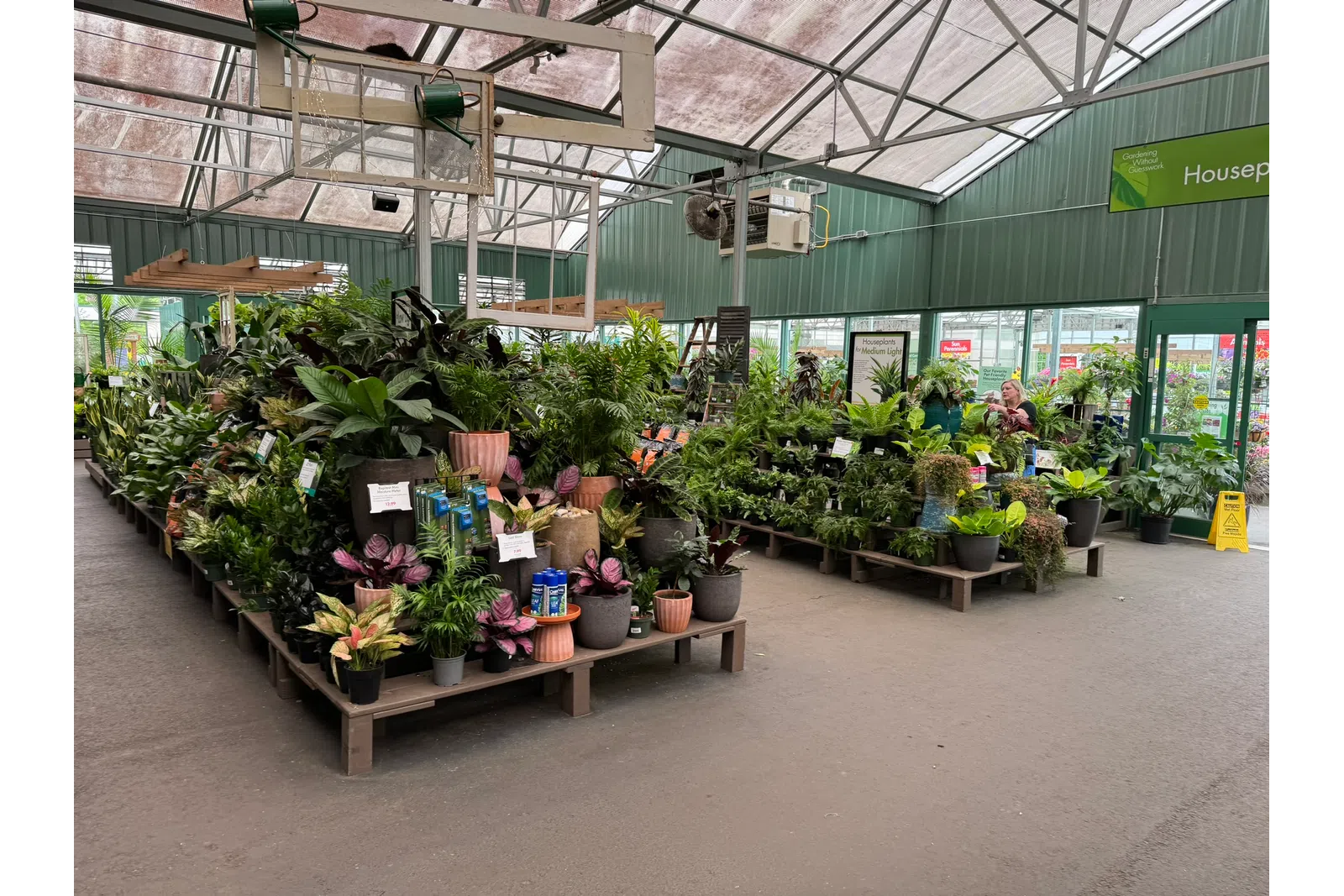 Indoor garden center with diverse potted houseplants arranged on raised platforms in a greenhouse setting.