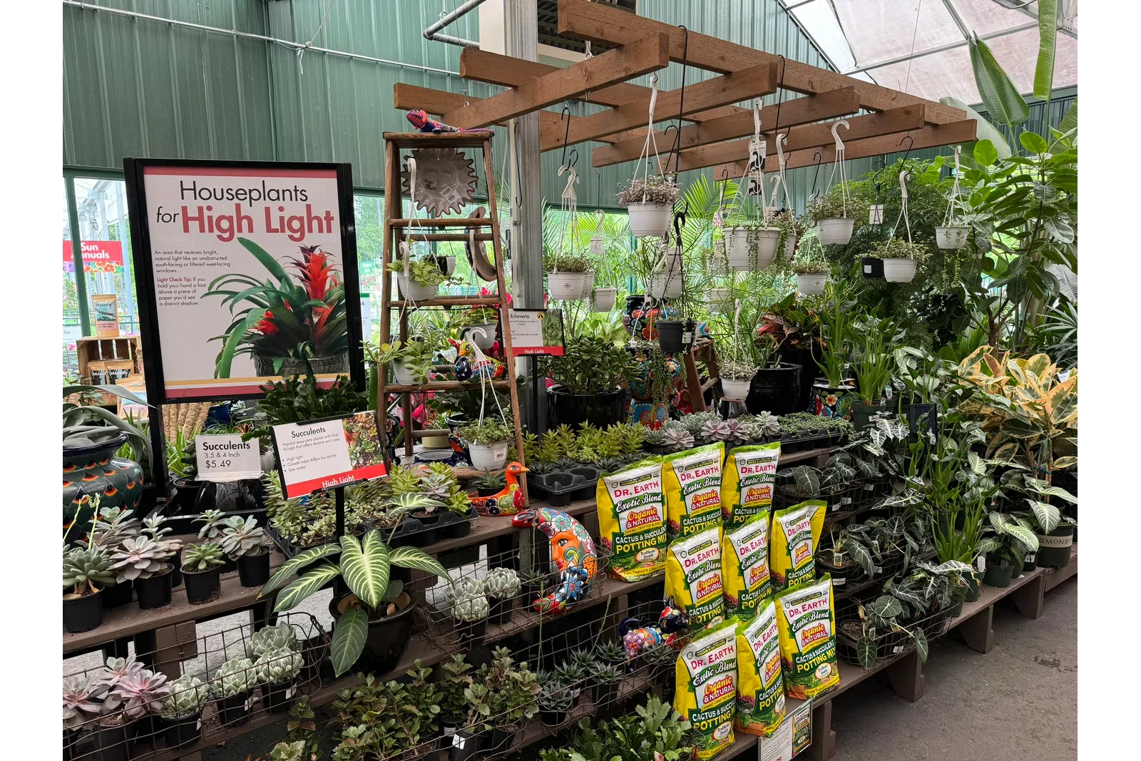 Greenhouse section displaying houseplants, succulents, hanging pots, and Dr. Earth cactus potting soil bags.