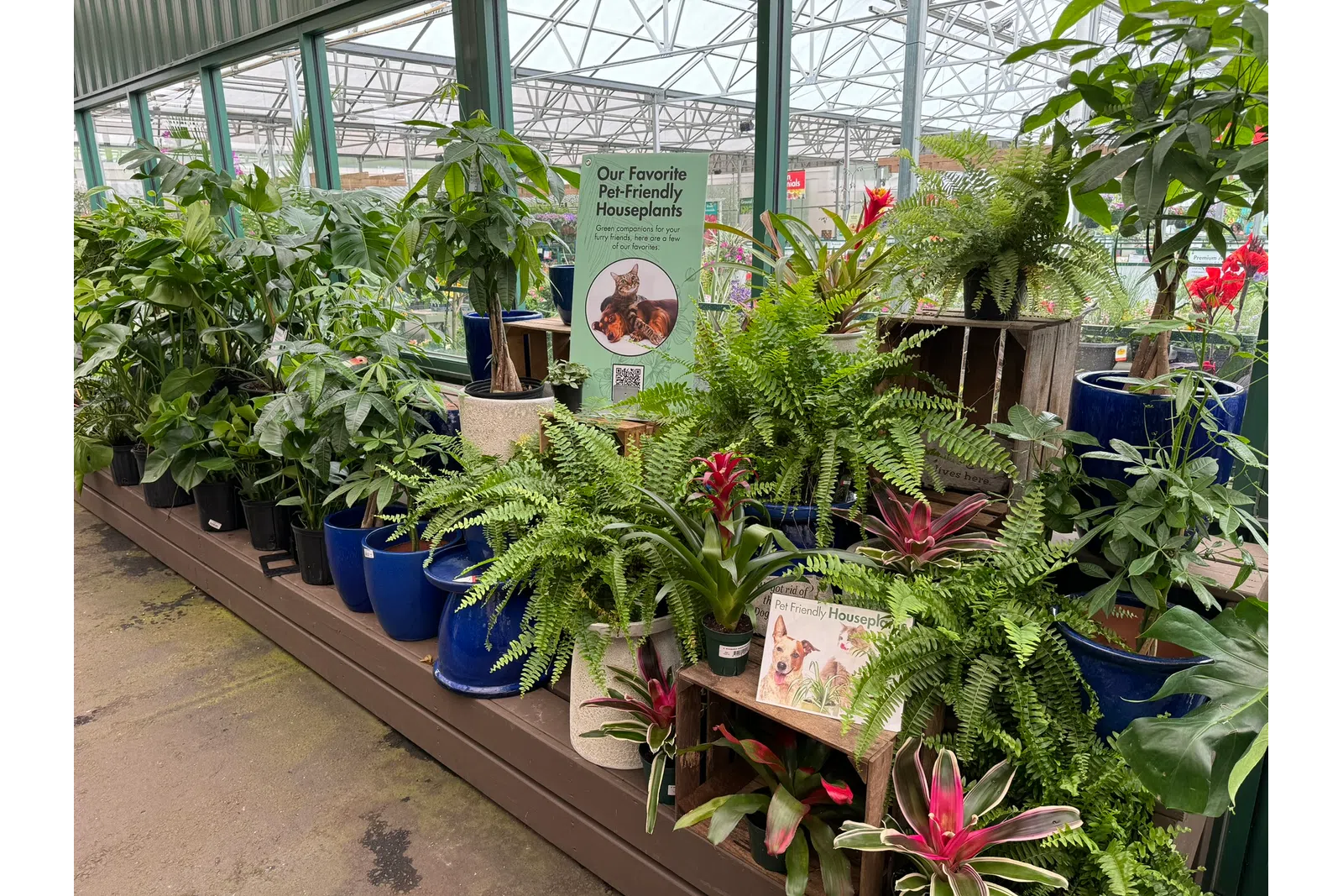Pet-friendly houseplants displayed in blue pots inside a greenhouse with informational signs for pet owners.