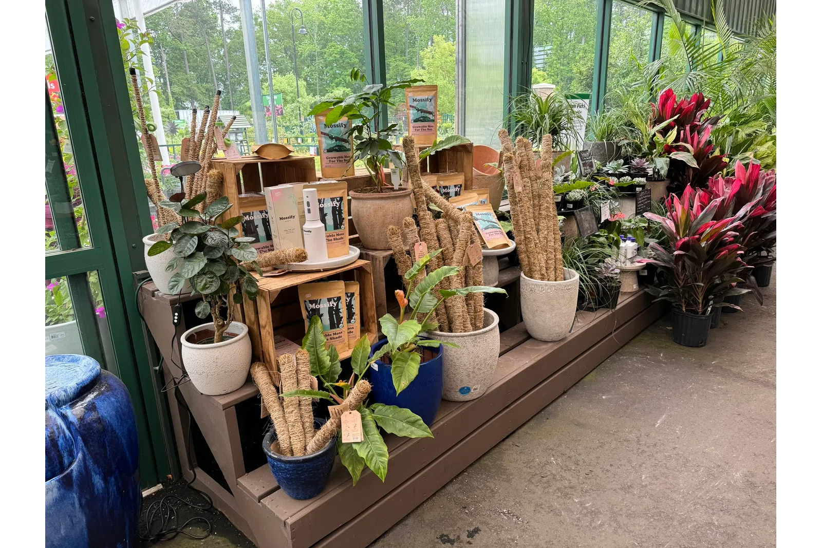 Indoor garden shop display with potted plants, moss poles, gardening products, and large windows letting in natural light
