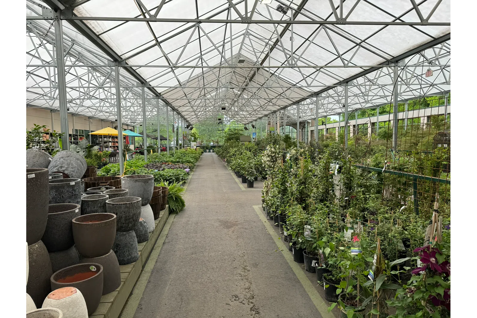 Indoor greenhouse aisle filled with plants and large ceramic planters under a glass roof