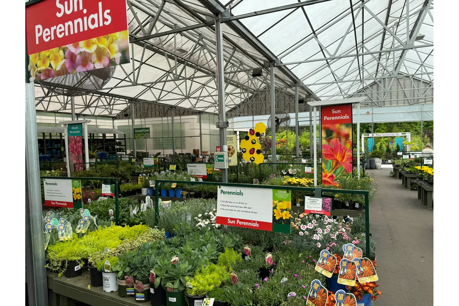 Greenhouse nursery with various sun perennial plants displayed under glass roof and informative signs.