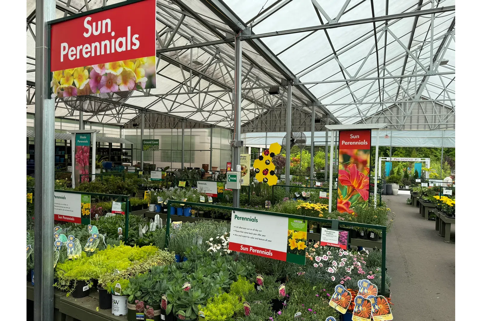 Greenhouse section with diverse sun perennial plants and colorful signage at a garden center.