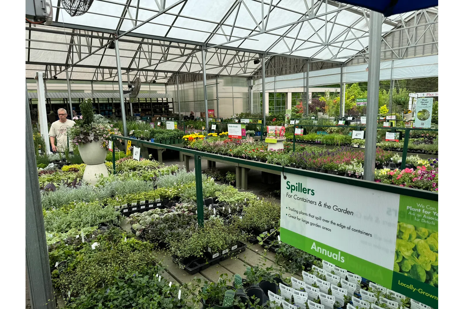 Greenhouse nursery with tables of various annual plants and gardening supplies under a glass roof.
