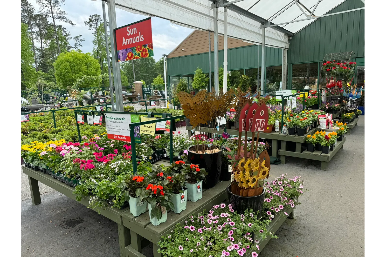 Sun Annuals flower plants on display tables under a white canopy at a garden center on a sunny day
