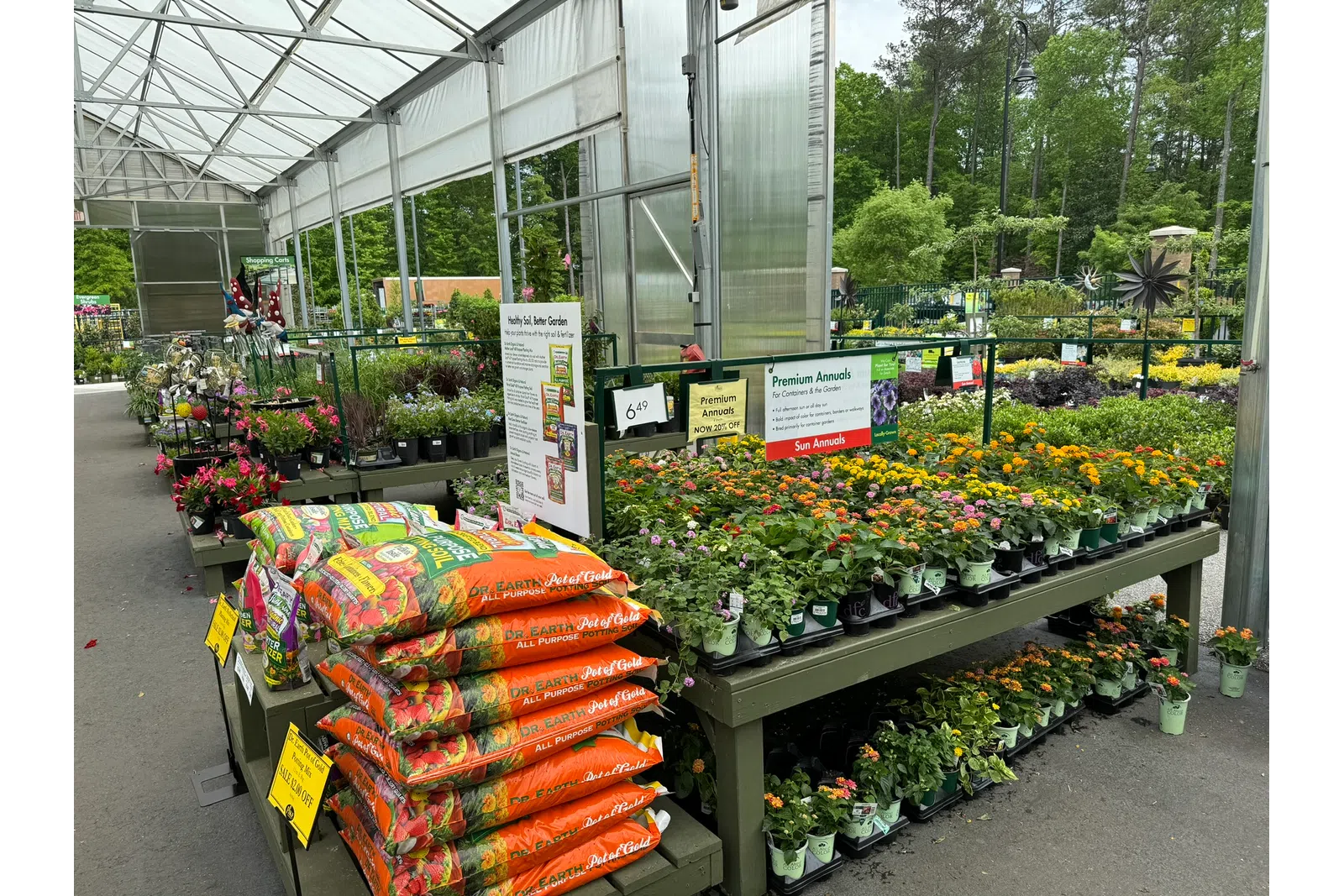 Outdoor garden center greenhouse with rows of colorful flowering plants and bags of all-purpose potting soil.