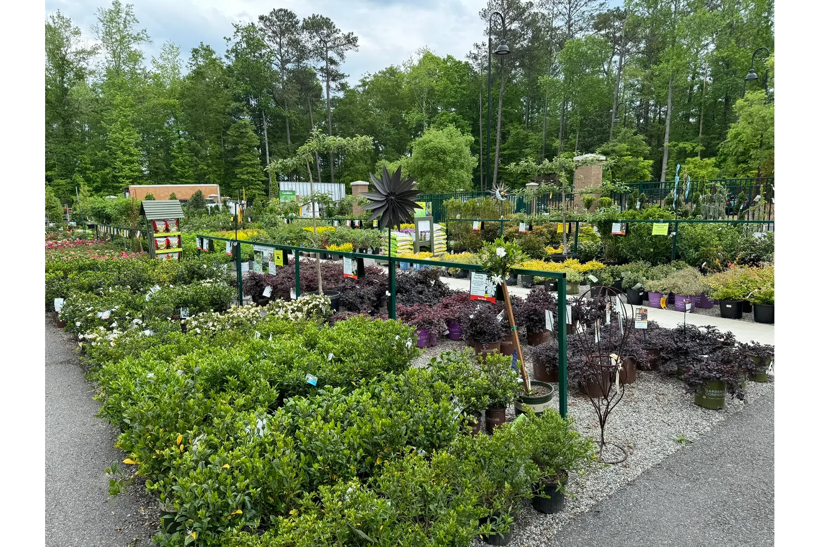 Outdoor garden center with rows of green and flowering plants in pots and a wooded background under overcast sky.