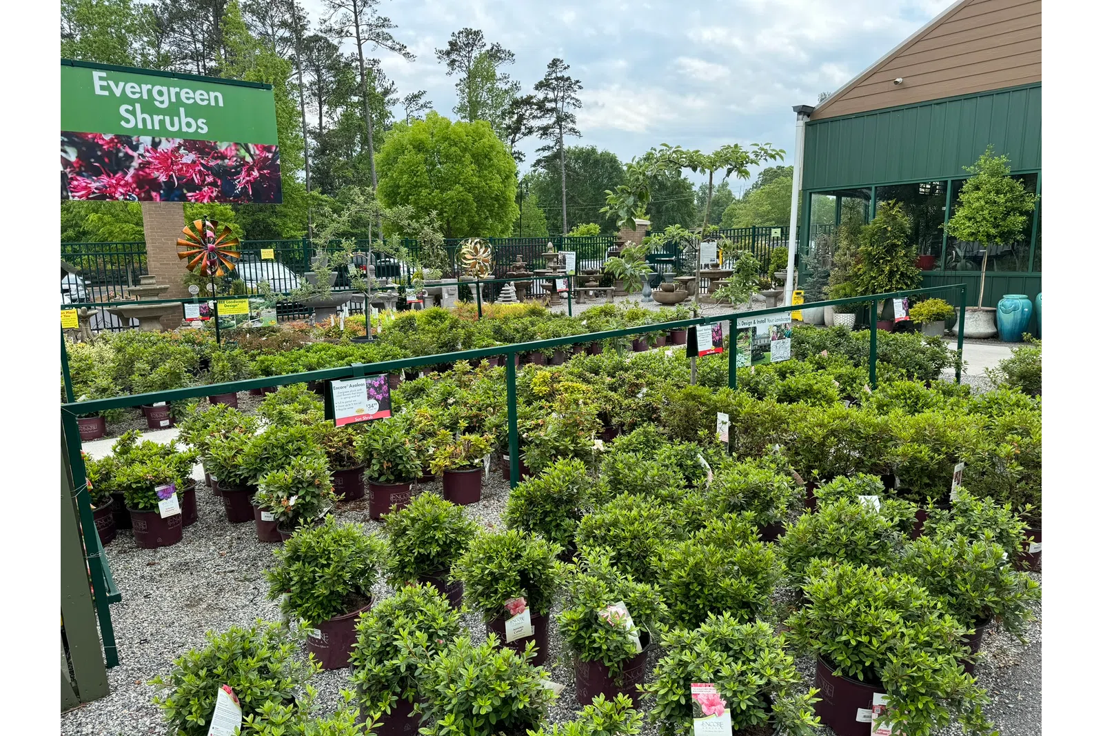 Outdoor nursery section with rows of potted evergreen shrubs under a green sign on a cloudy day.