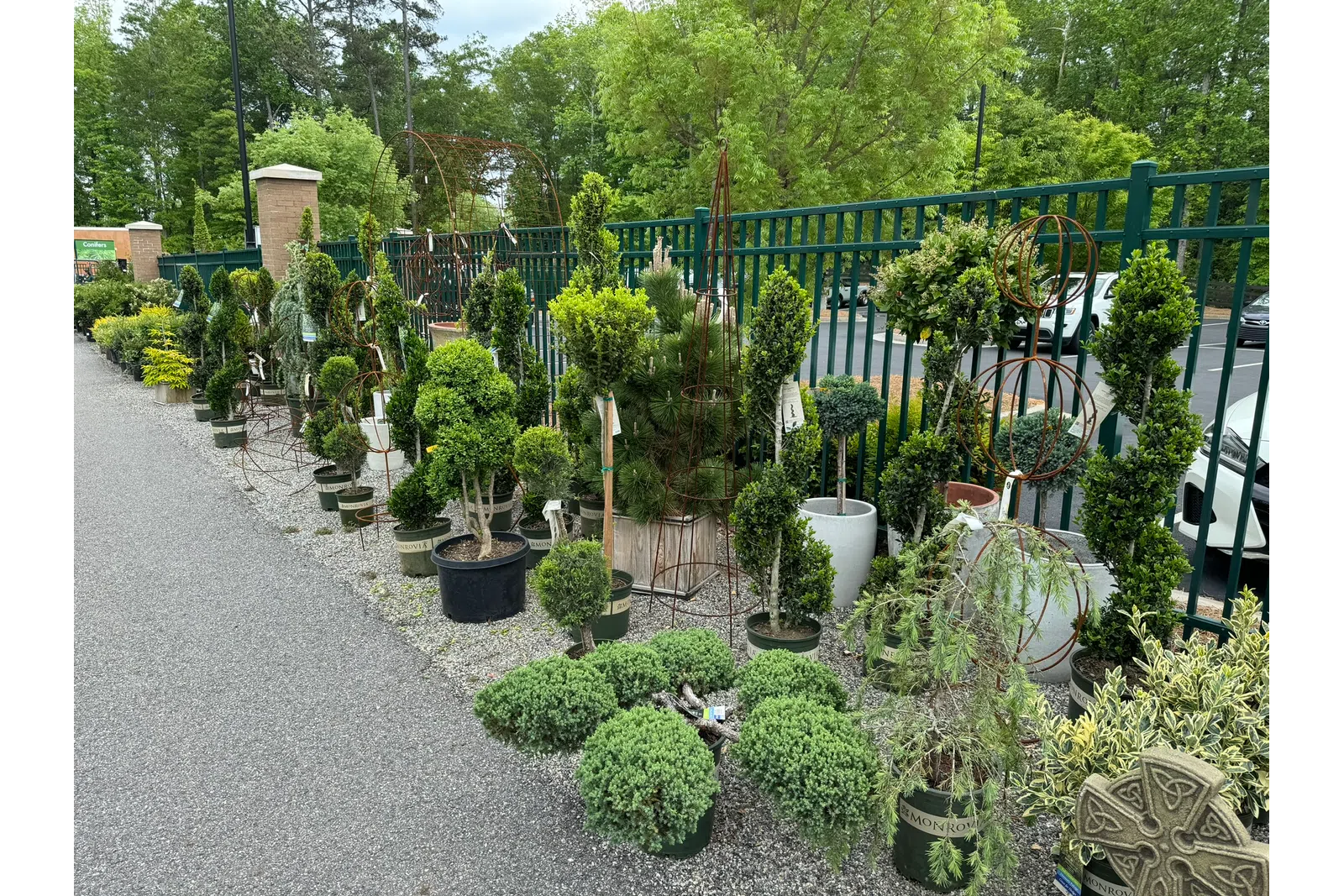 Row of various potted topiary and sculpted evergreen plants lined along a fence on gravel ground.