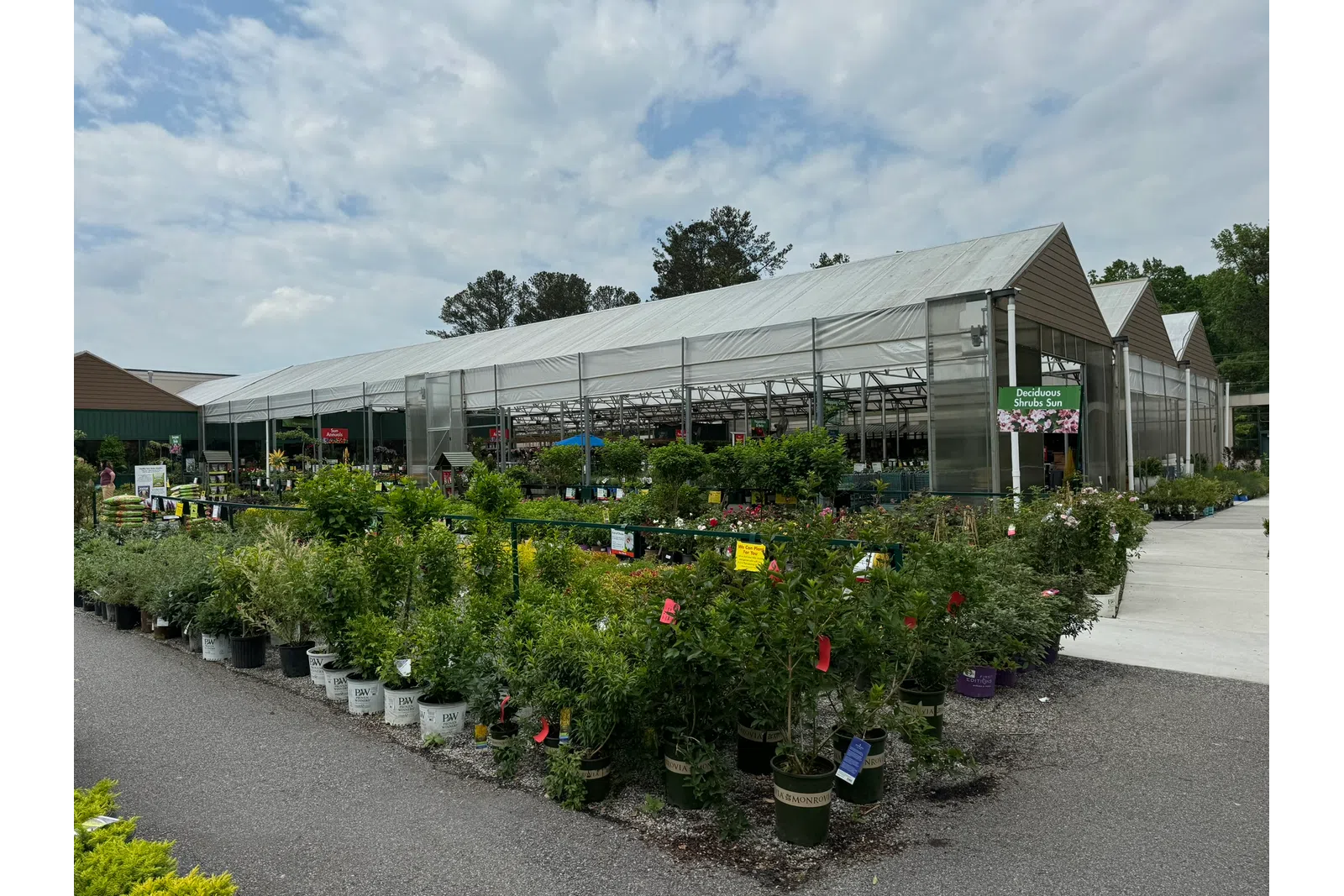 Outdoor plant nursery with various potted shrubs and flowers displayed around a large greenhouse under a partly cloudy sky.