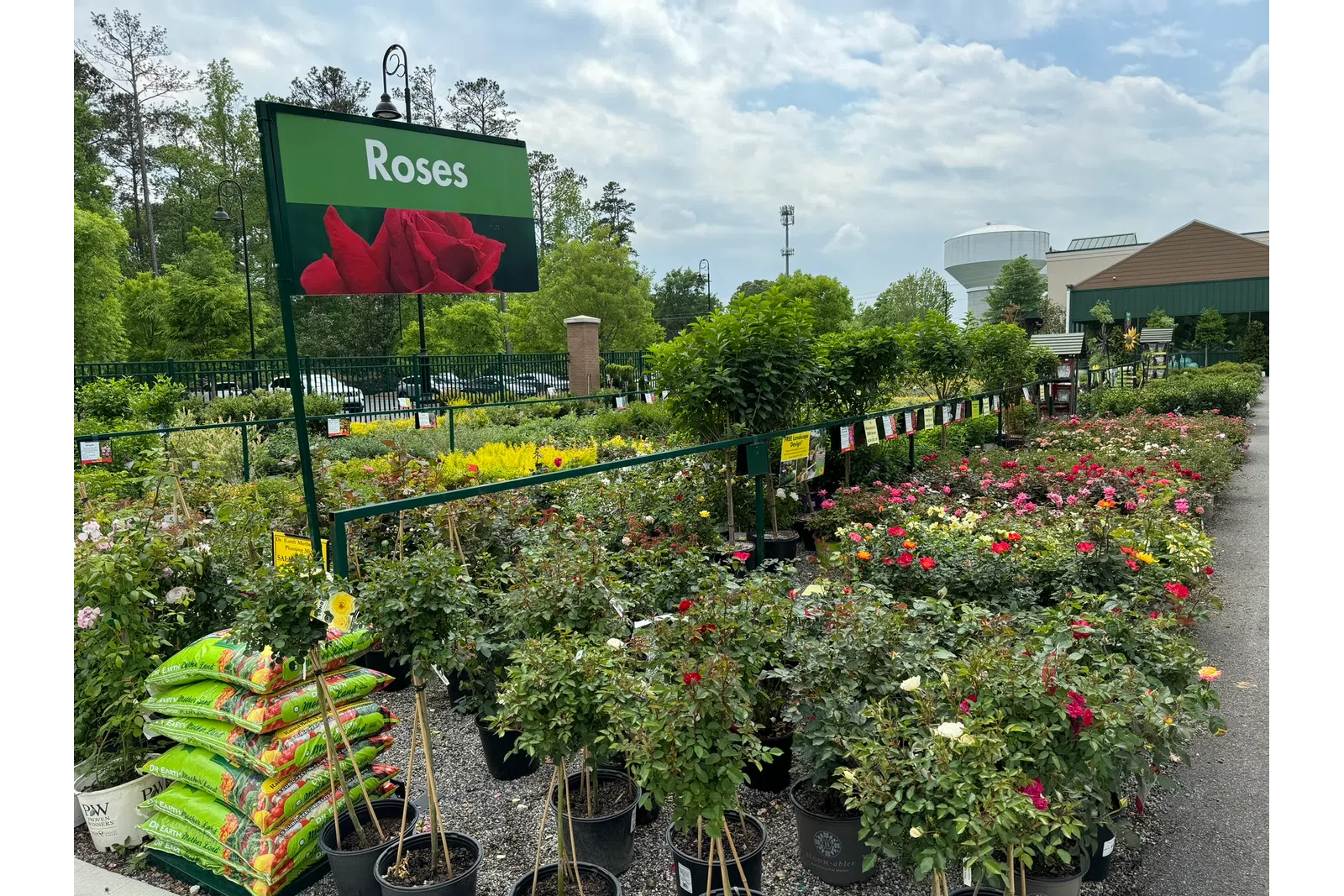 Outdoor garden center with rows of rose plants in pots under a large green sign labeled Roses on a cloudy day.