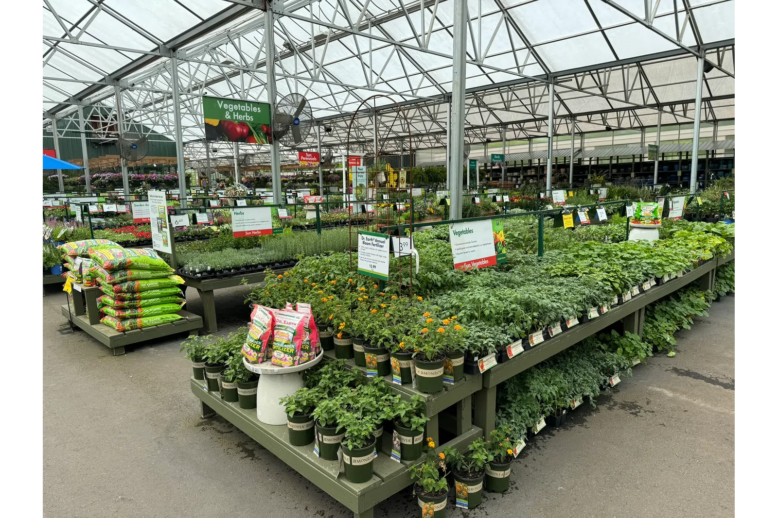 Greenhouse section with tables full of potted vegetable and herb plants, gardening supplies, and signage.