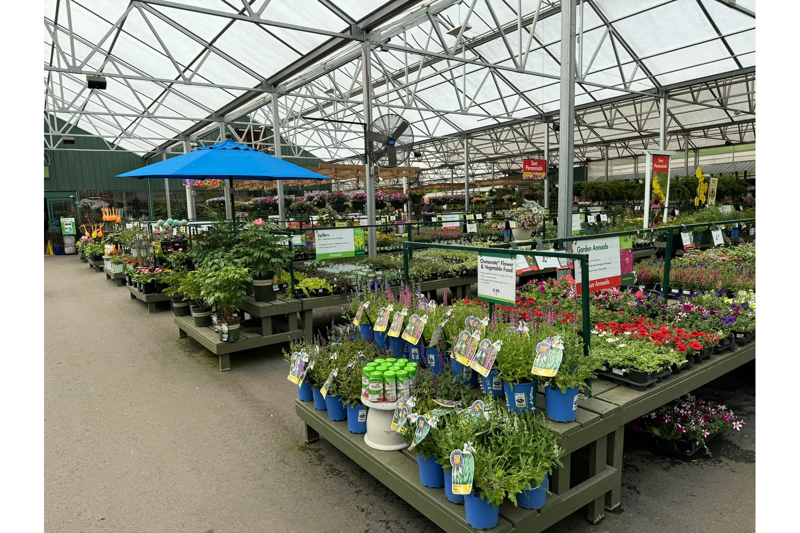 Indoor garden center with various potted plants and flowers under a glass roof and blue umbrellas.