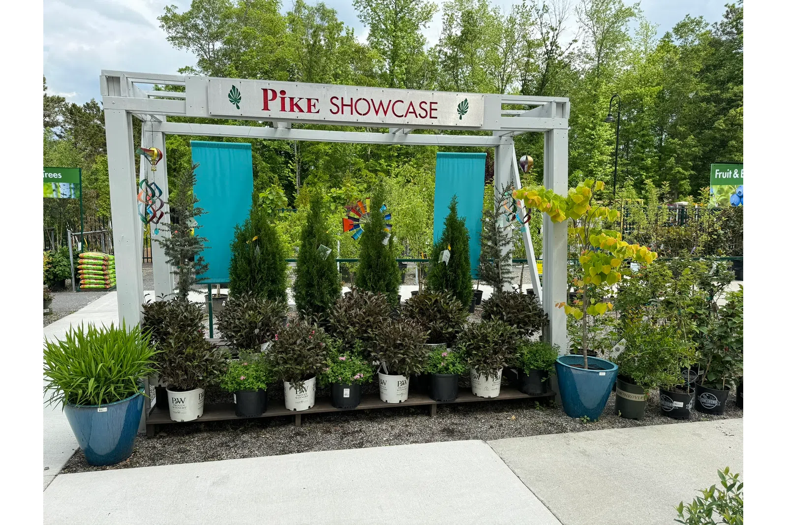 Pike Showcase display of various potted evergreen and leafy plants outdoors under a white wooden frame.