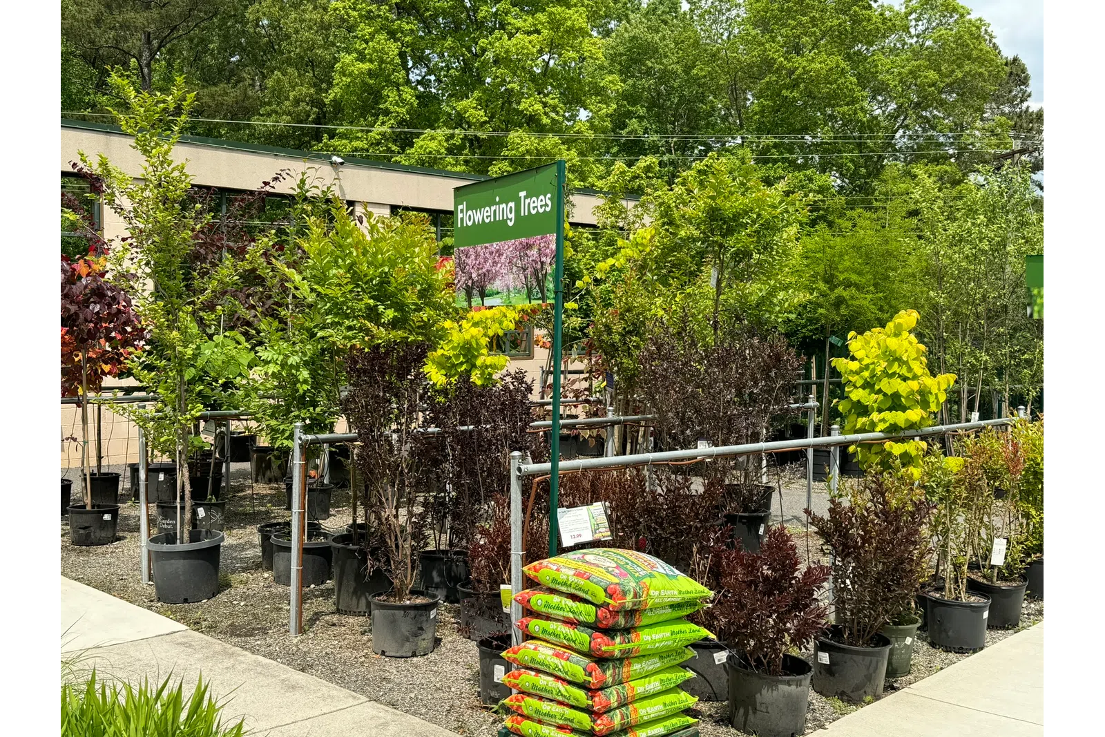 Outdoor garden center displaying various potted flowering trees and bags of soil under a clear sky.