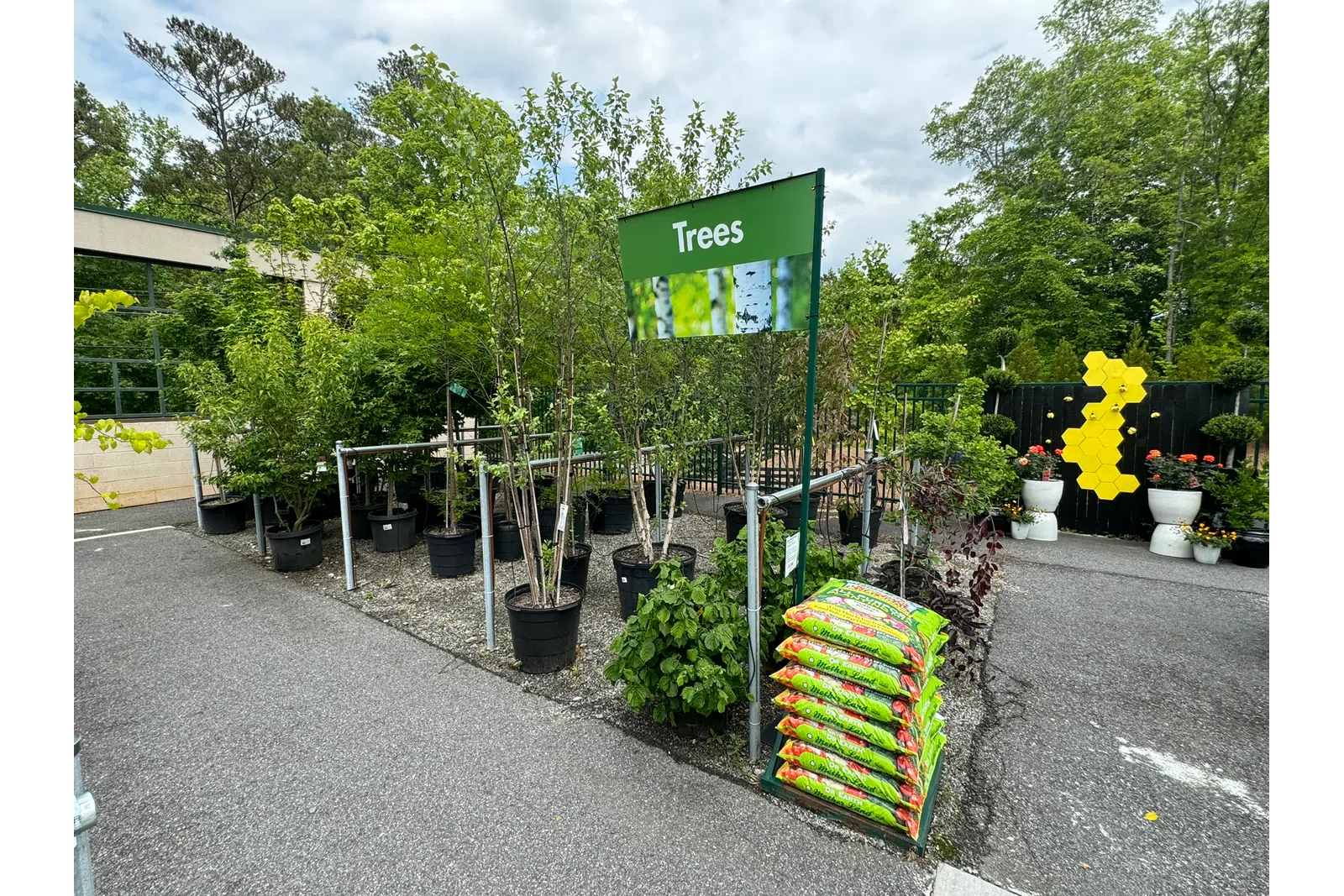 Outdoor nursery area displaying various potted trees with a green sign labeled Trees and bags of soil nearby