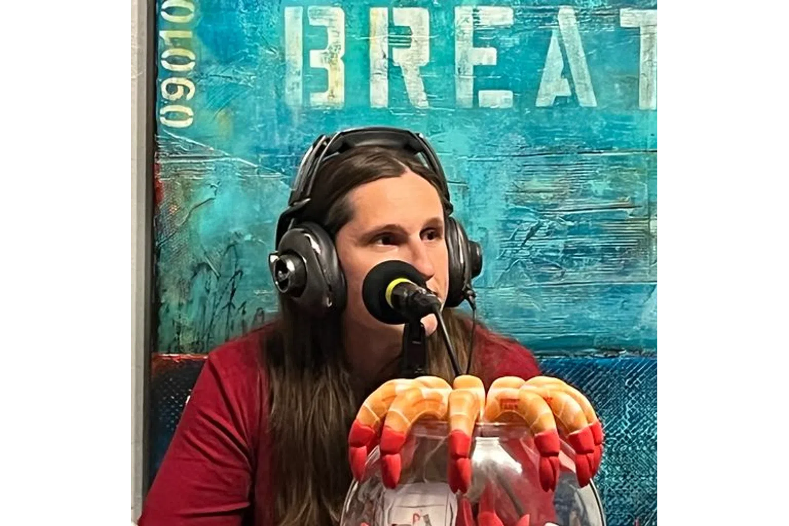 a person wearing headphones and holding a microphone