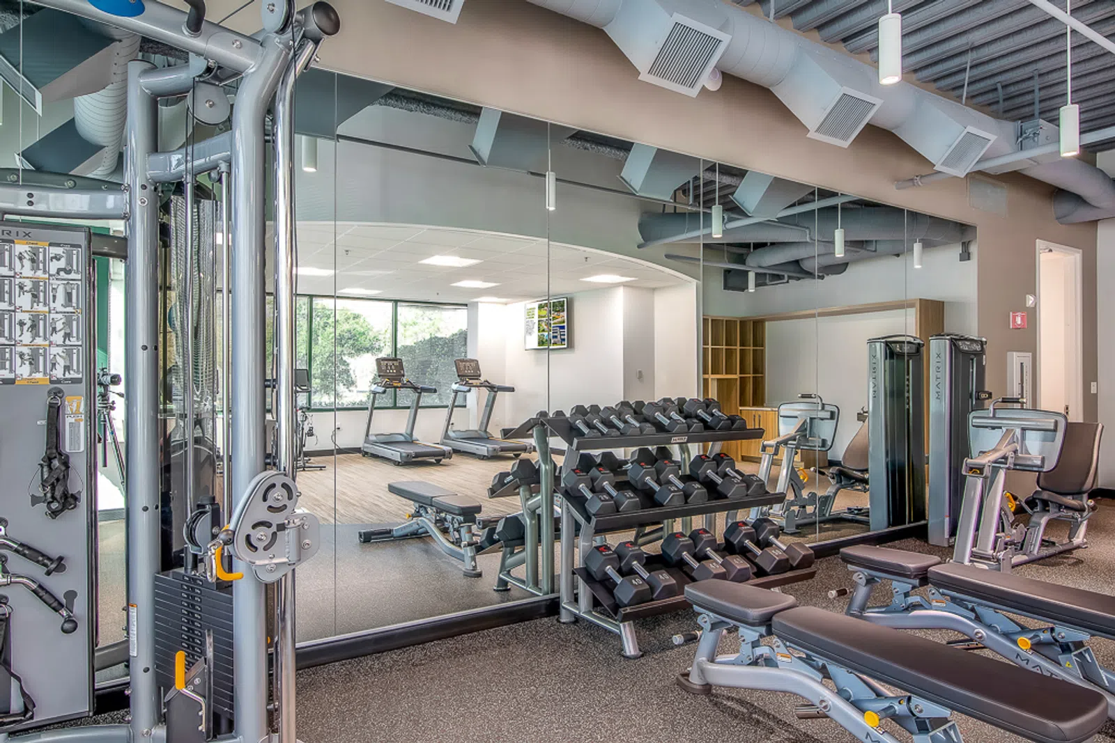 Modern gym with dumbbells, weight machines, treadmills, mirrors, and natural light from large windows