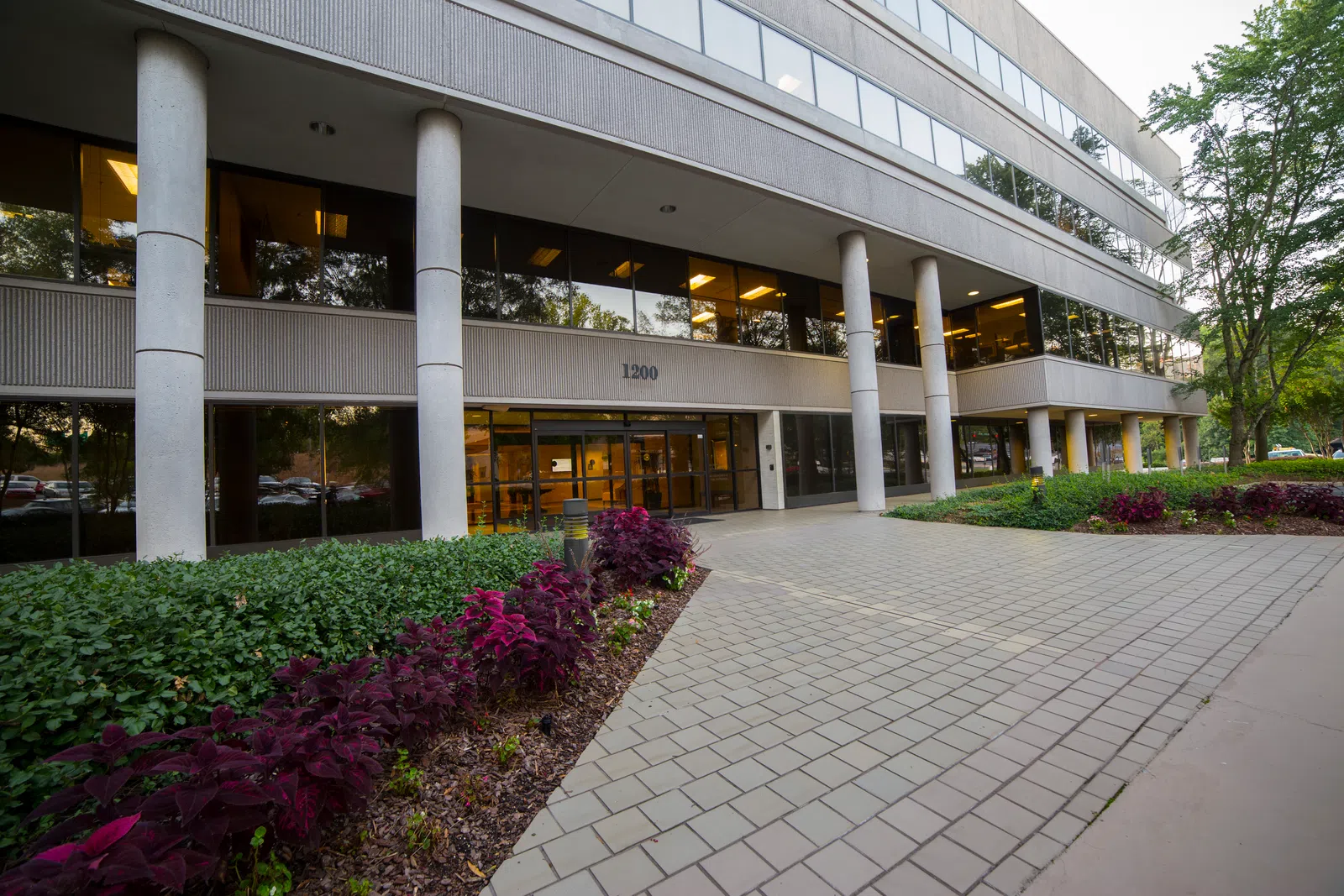 Modern office building entrance with large glass windows, pillars, and landscaped plants along the walkway.
