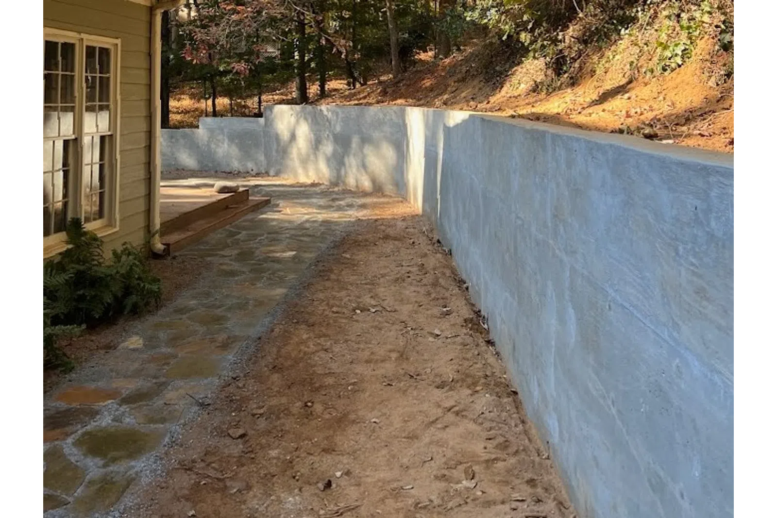 a path with trees on the side