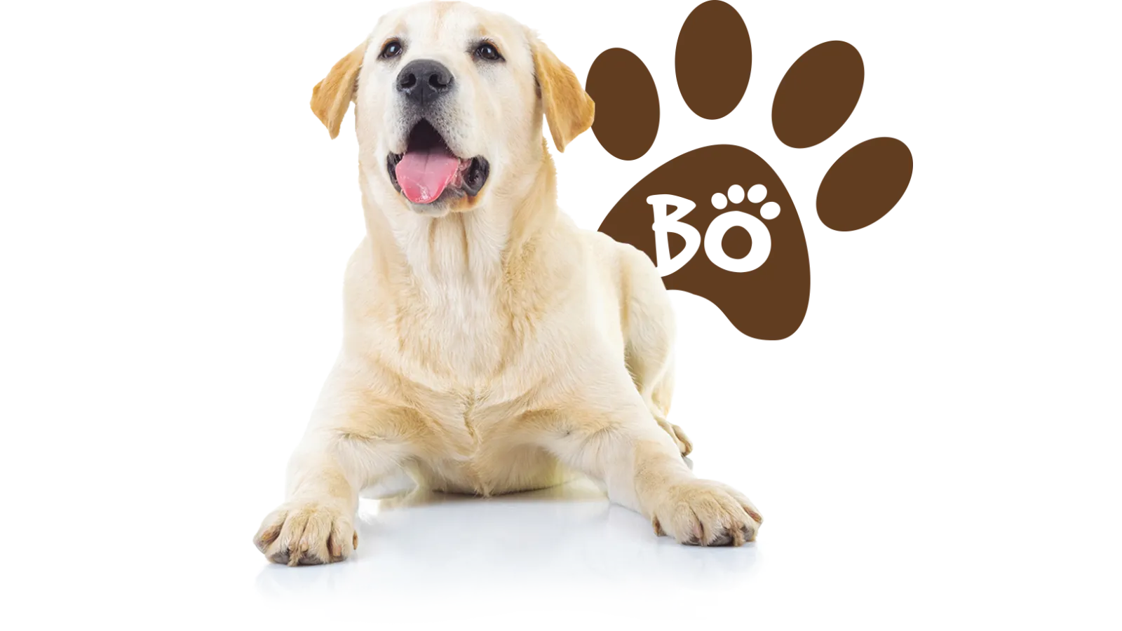 Bo Estes, mascot of Estes Services