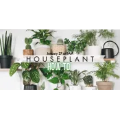 a group of potted plants