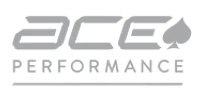 Ace Performance logo with a stylized spade symbol and bold uppercase text on a transparent background.
