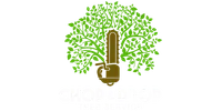 Chainsaw with green tree branches and leaves forming a canopy above text Chop & Drop Tree Service.