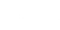 White Lexus logo with bold, modern typography on a transparent background