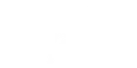 White capital letter N with delicate botanical leaf design crossing it on transparent background.