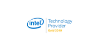 Intel Technology Provider Gold 2019 logo emphasizing innovation and technological partnership.