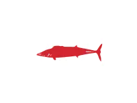 Red shark silhouette swimming horizontally over large white letters AE on black background