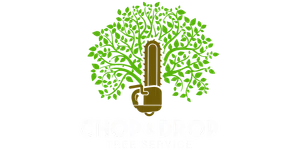 Chainsaw with green tree branches and leaves forming a canopy above text Chop & Drop Tree Service.