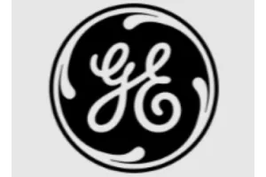 Black and white circular logo with stylized letters GE in the center and ornamental swirls around. image