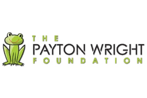 a green frog with a white background image