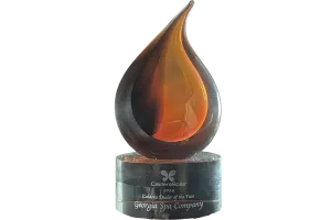 2024 Caldera Spas Dealer of the Year award showcasing a stylized flame design.