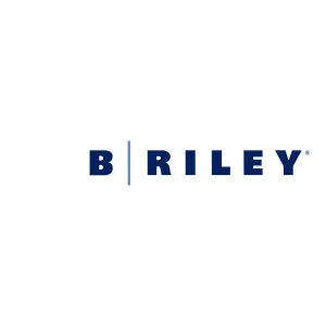 B. Riley Financial | Diversified Financial Services Platform