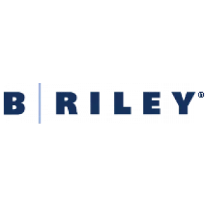 Briley logo with dark blue bold letters and a vertical line between the B and R on a white background.