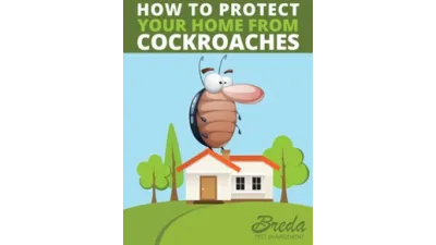 How To Protect Your Home From Cockroaches
