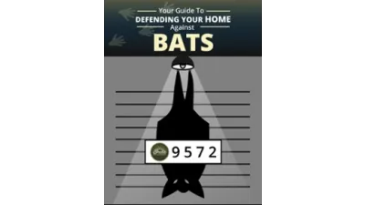 Your Guide to Defending Your Home Against Bats