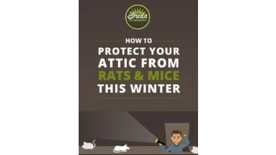 How to Protect Your Attic from Rats & Mice This Winter