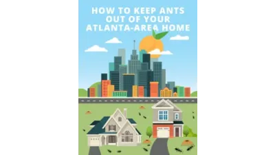 How To Keep Ants Out Of Your Atlanta-Area Home