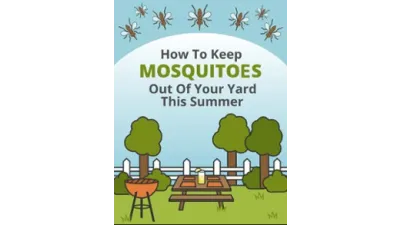 How To Keep Mosquitoes Out Of Your Yard This Summer