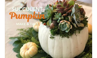 A white pumpkin adorned with vibrant succulents and autumn decorations, perfect for fall decor.