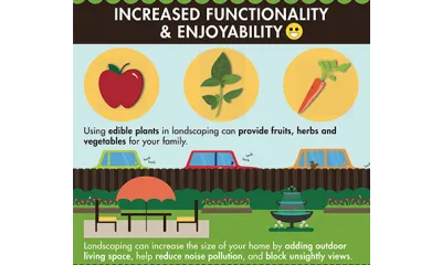 image with an apple, carrot, and herbs at the top; cars honking behind a fence with a nice backyard in front