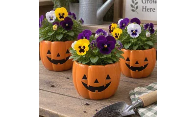 Halloween pumpkin planters with purple and yellow pansies displayed in a plant nursery with gardening tools.