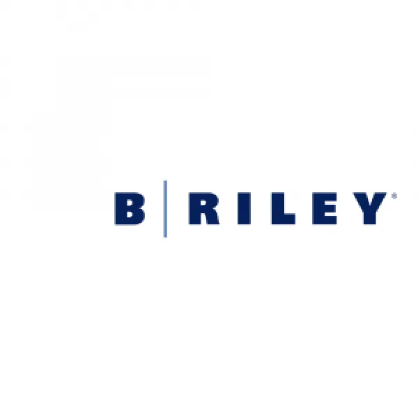 B. Riley Financial | Diversified Financial Services Platform