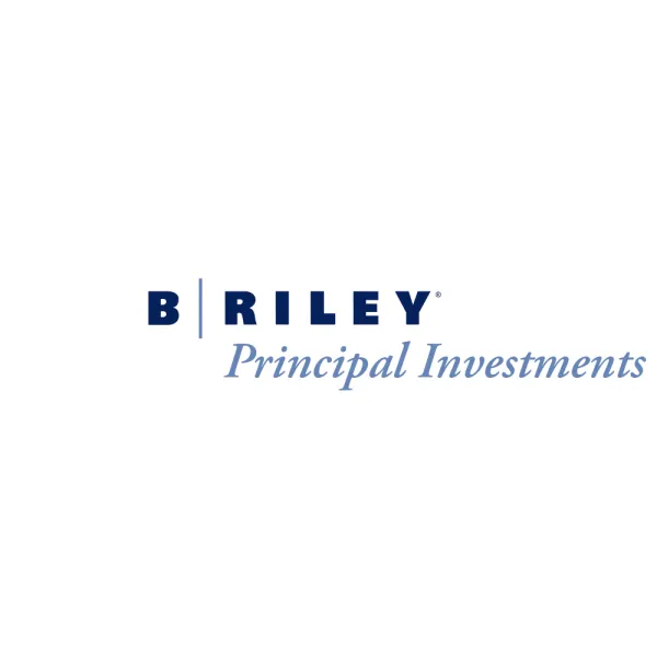 B. Riley Financial | Diversified Financial Services Platform