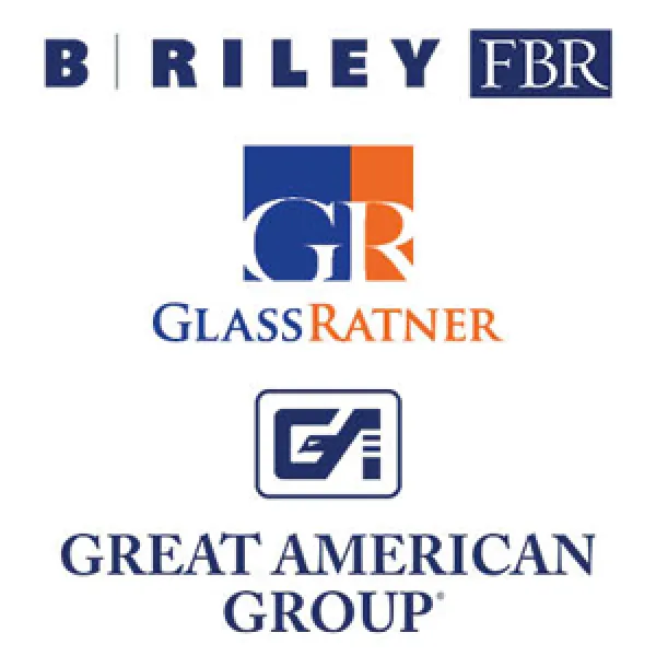 B. Riley Financial | Diversified Financial Services Platform